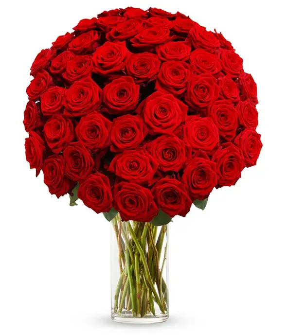 50 Stunning Long Stemmed Red Roses